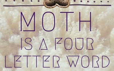 Moth is a Four Letter Word. Here is my favorite mothball alternative.